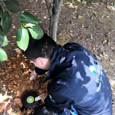 巨恒防护 长沙建筑工程白蚁防治的专业守护者