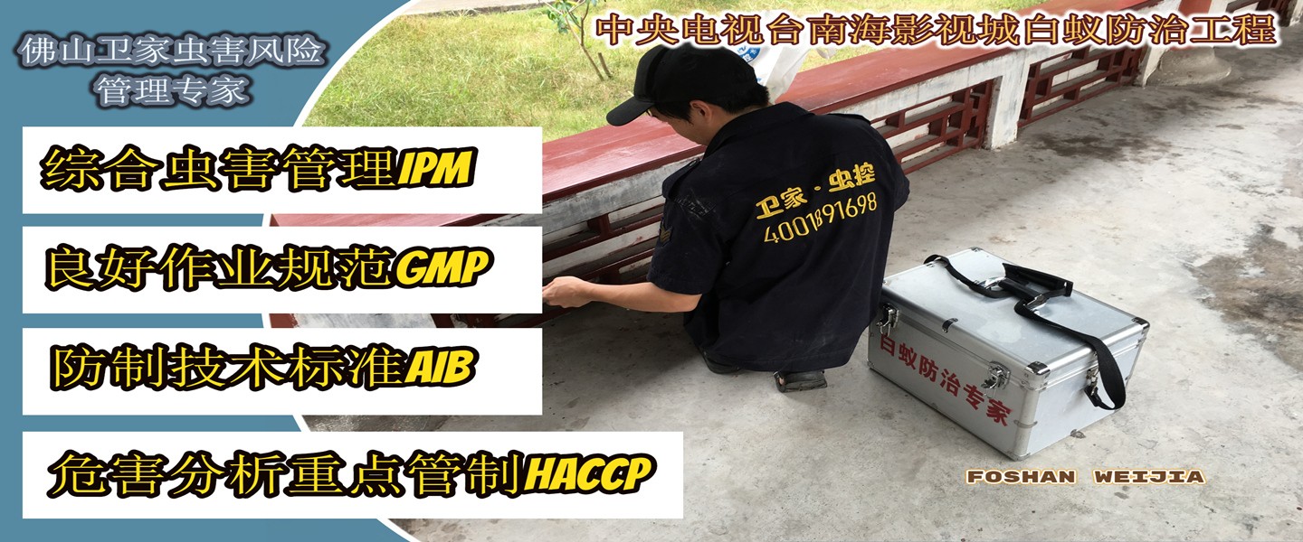 杏坛白蚁防治所 专业守护您的家园，让白蚁无处可逃