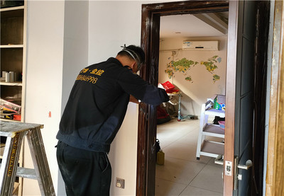 深圳白蚁防治 专业服务守护家居与建筑安全