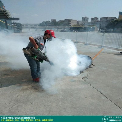 专业高效，安心无忧——龙科白蚁防治服务用户评价解析