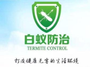全方位虫害防治指南 从老鼠、蟑螂到白蚁，打造无虫宜居空间