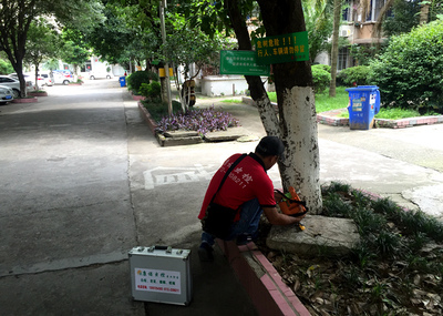 专业白蚁防治 从预防咨询到彻底根除的全面服务