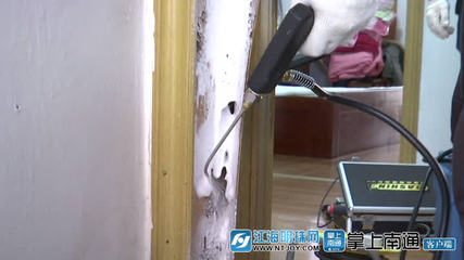 白蚁分飞高峰将至，南通应用新技术提升防治服务水平