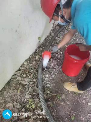 惠山写字楼白蚁防治指南 无锡亿之豪专业服务解析