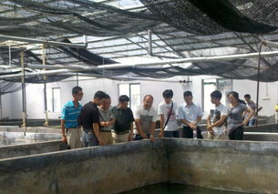 提升专业技能，强化服务保障——我局参加台州市水产疾病与病害防治高级研修班与白蚁防治服务专题学习