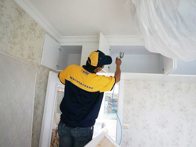 寻找优质白蚁防治服务 全面指南与实用建议