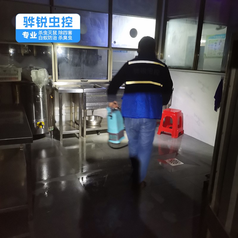 全方位守护企业安全 专业白蚁防治与工厂灭鼠除蟑螂综合服务